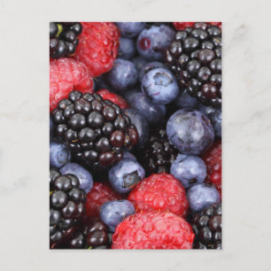 Forest Fruit Background Postcard