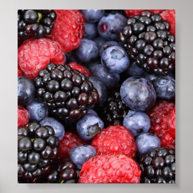 Forest Fruit Background Poster (Front)