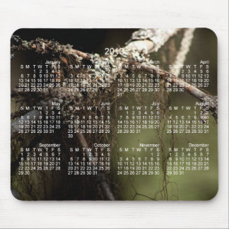 Forest Fuzz; 2013 Calendar Mouse Pad
