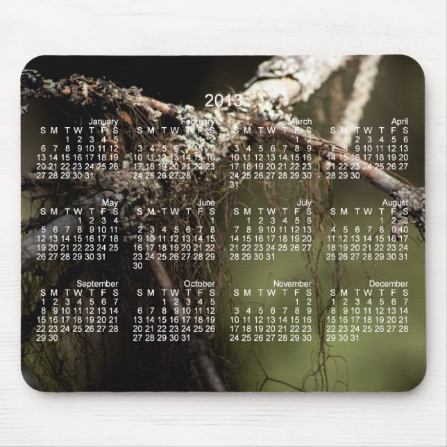 Forest Fuzz; 2013 Calendar Mouse Pad (Front)
