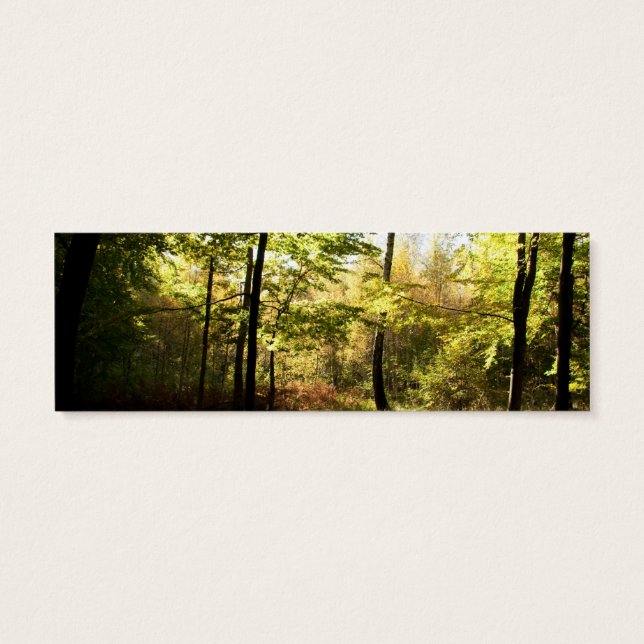 Forest glade (Back)