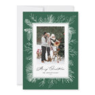 Forest Green Vintage Botanical Christmas Photo