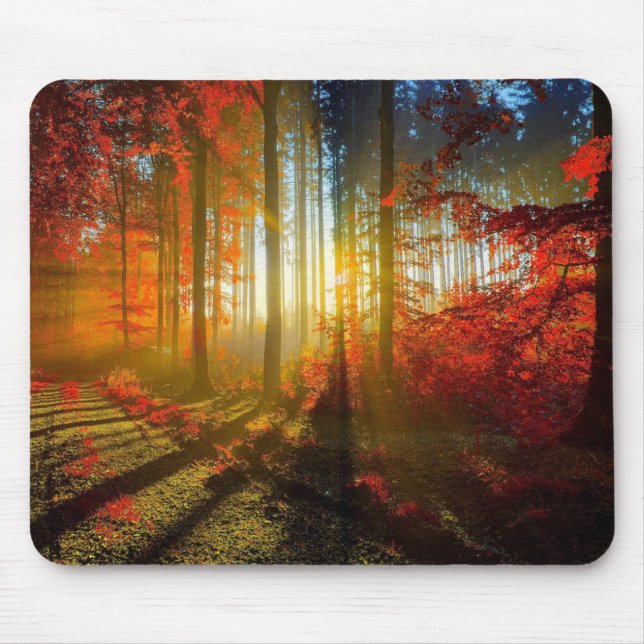 Forest In Autumn Mouse Pad (Front)