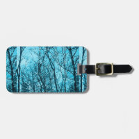 Forest In Azure