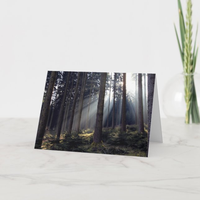 Forest in Bavaria Card (Front)
