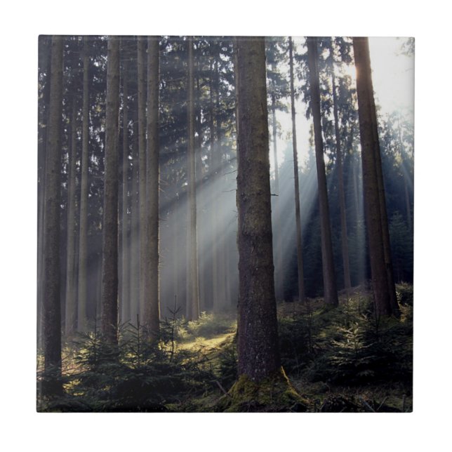 Forest in Bavaria Ceramic Tile (Front)