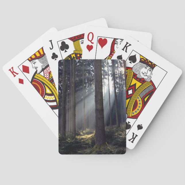 Forest in Bavaria Playing Cards (Back)