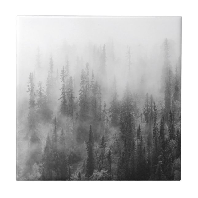Forest in Fog Ceramic Tile (Front)