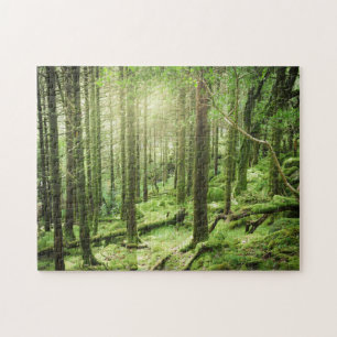 Forest in Killarney National Park Kerry, Ireland Jigsaw Puzzle