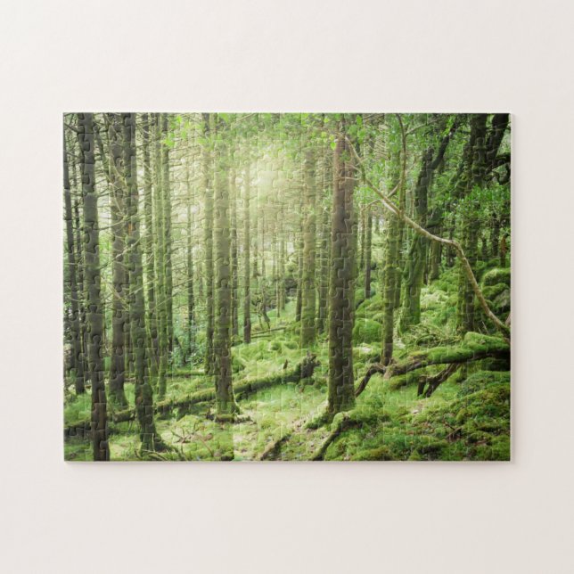 Forest in Killarney National Park | Kerry, Ireland Jigsaw Puzzle (Horizontal)