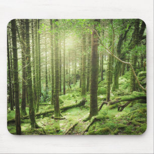 Forest in Killarney National Park Kerry, Ireland Mouse Pad