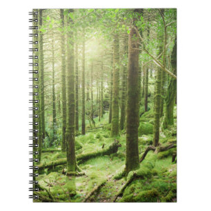 Forest in Killarney National Park   Kerry, Ireland Notebook