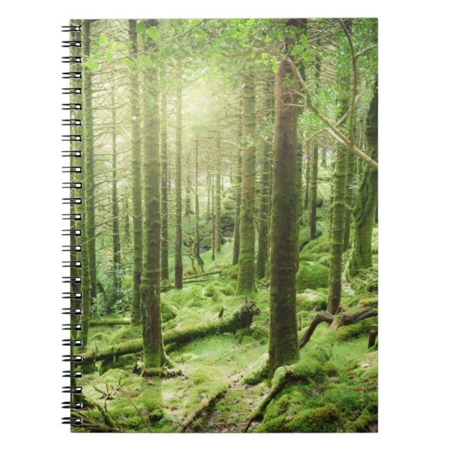 Forest in Killarney National Park | Kerry, Ireland Notebook (Front)