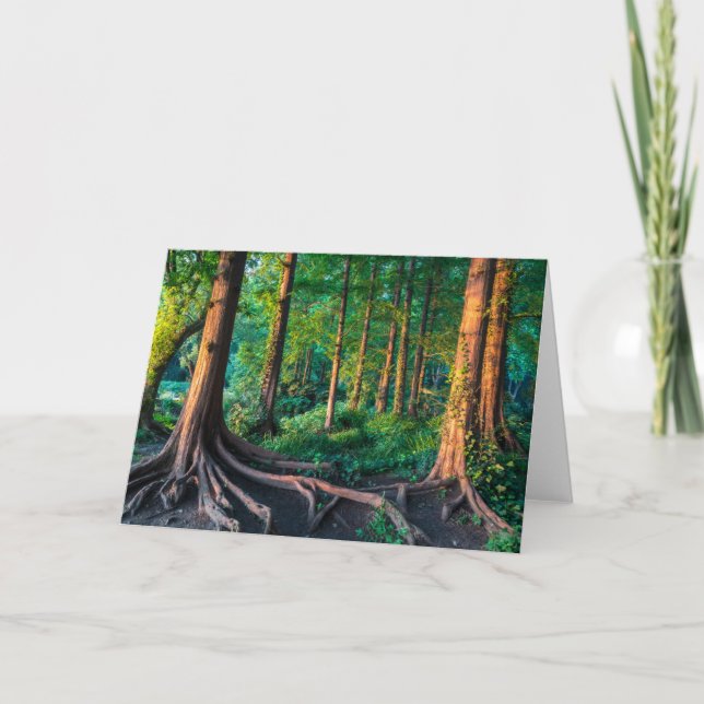 Forest in Summer Card (Front)