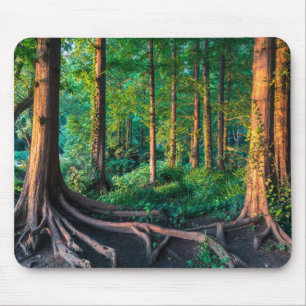 Forest in Summer Mouse Pad