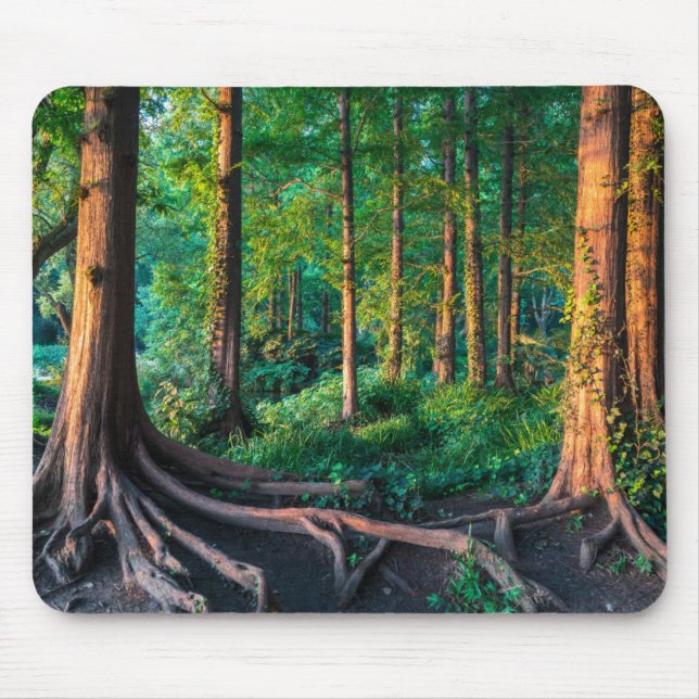 Forest in Summer Mouse Pad (Front)