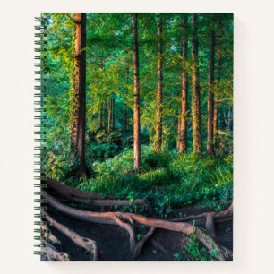 Forest in Summer Notebook