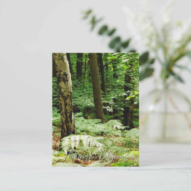 Forest in summer postcard (Standing Front)