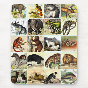 Forest, Jungle And Ocean Animal Collage sheet Art Mouse Pad