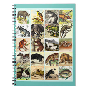 Forest, Jungle And Ocean Animal Collage sheet Art  Notebook