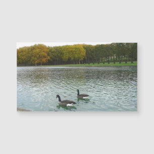 Forest Lake .