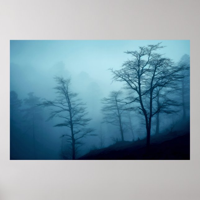 Forest Landscape Meditation Serene Calm Poster (Front)