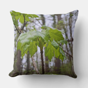 Forest Leaves After Rain – Wild Nature Romania Cushion
