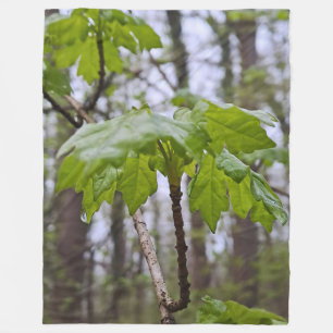 Forest Leaves After Rain – Wild Nature Romania Fleece Blanket