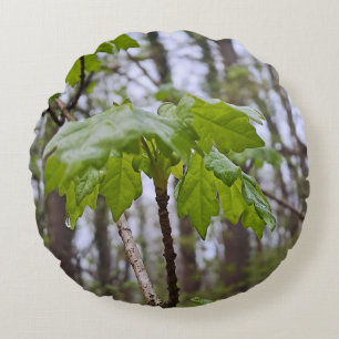 Forest Leaves After Rain – Wild Nature Romania Round Cushion