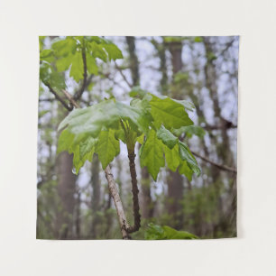 Forest Leaves After Rain – Wild Nature Romania Tapestry