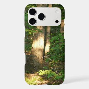 Forest Light-Nature