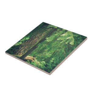 Forest Light Tile