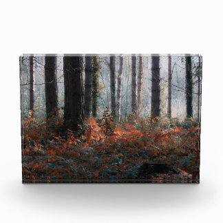 Forest Magic Photo Block