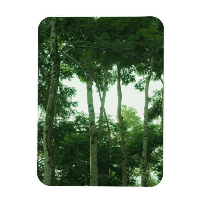 Forest Magnet (Vertical)