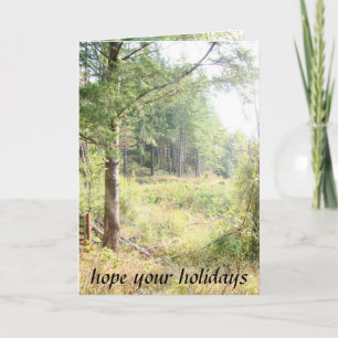 Forest Meadows Holidays Card