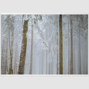 Forest  Misty Winter Decoupage  Tissue Paper