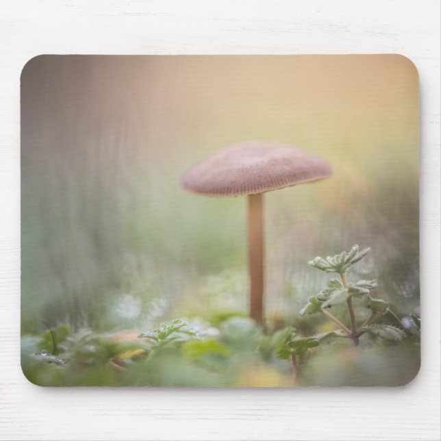 Forest Mushroom Nature Photo Mouse Pad (Front)