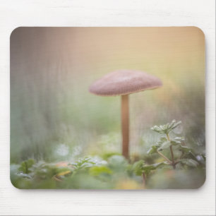 Forest Mushroom Photo Mouse Pad