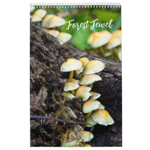 Forest Mushrooms Calendar