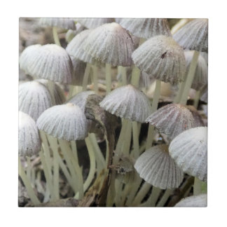 Forest Mushrooms Ceramic Tile