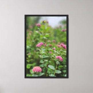 Forest Nature Canvas Print
