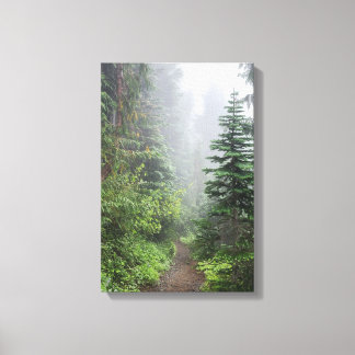 Forest Nature Canvas Print