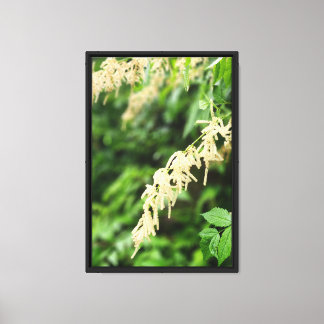 Forest Nature Canvas Print