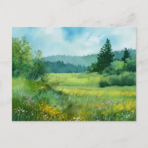 Forest  Nature Scene  Postcard