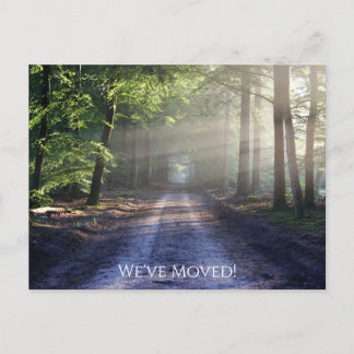 Forest Nature Woods Mountains We've Moved Postcard