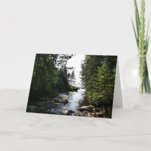 Forest near Hunters Beach at Acadia National Park Card
