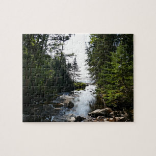Forest near Hunters Beach at Acadia National Park Jigsaw Puzzle