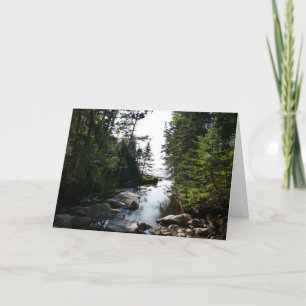 Forest near Hunters Beach Card