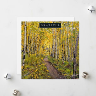 Forest of Aspen Trees Holiday Card