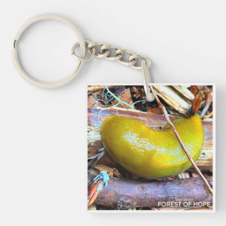 Forest of Hope  Key Ring